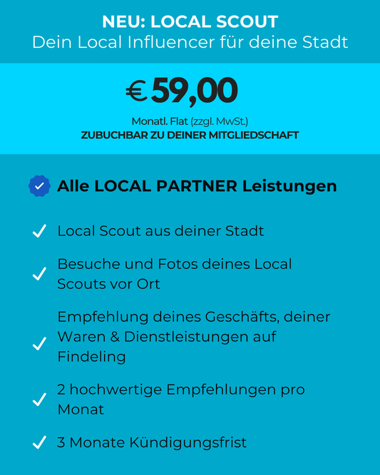 LOCAL PARTNER – for smaller companies with an annual turnover of up to €5 million